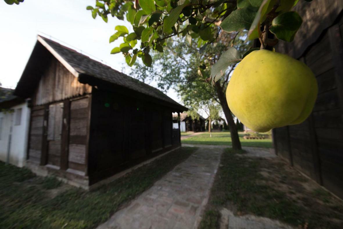 Acin Salas Tordinci Exteriér fotografie