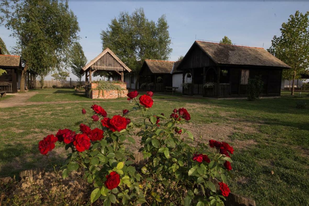 Acin Salas Tordinci Exteriér fotografie
